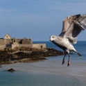 2009-09-dinard-OK (31)